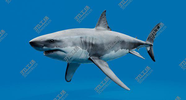 images/goods_img/20210312/3D White Shark model/1.jpg